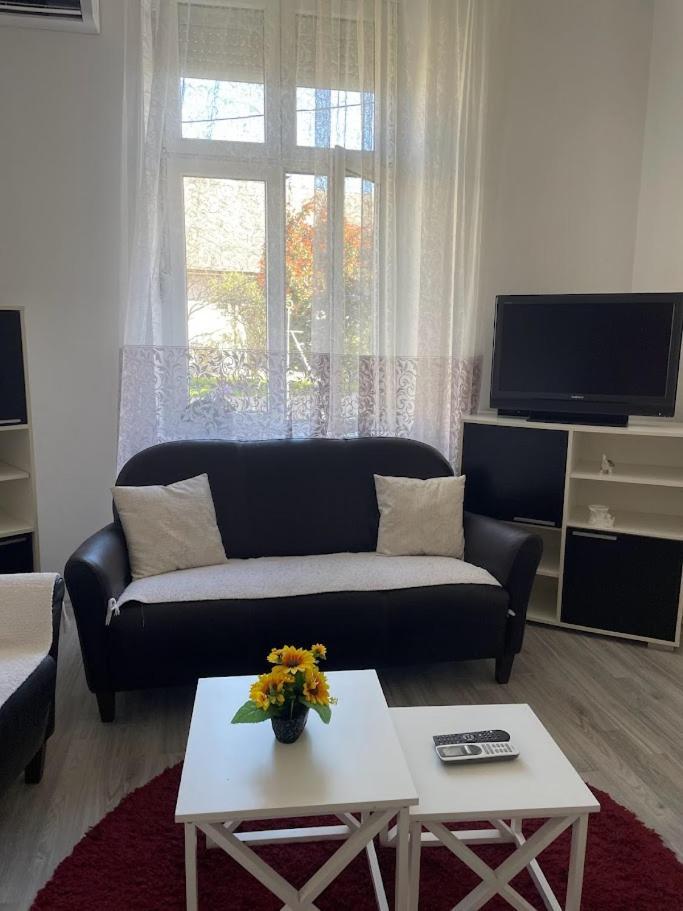 Apartment Milijana Subotica Buitenkant foto